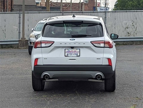 2022 Ford Escape SE Hybrid in Columbus, MI - Mark Wahlberg Automotive Group