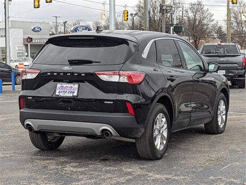 2022 Ford Escape SE Hybrid in Columbus, MI - Mark Wahlberg Automotive Group