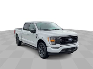 2023 Ford F-150 XLT in Columbus, MI - Mark Wahlberg Automotive Group