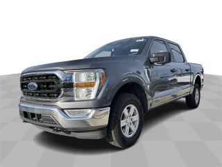 2022 Ford F-150 XLT in Columbus, MI - Mark Wahlberg Automotive Group