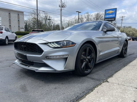 2021 Ford Mustang EcoBoost in Columbus, MI - Mark Wahlberg Automotive Group