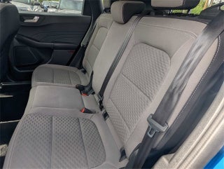 2021 Ford Escape SE in Columbus, MI - Mark Wahlberg Automotive Group