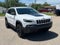 2019 Jeep Cherokee Trailhawk 4x4