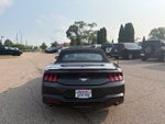 2024 Ford Mustang EcoBoost Premium Convertible