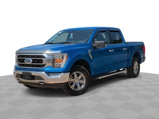 2021 Ford F-150 XL in Columbus, MI - Mark Wahlberg Automotive Group