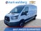 2019 Ford Transit Van T-250 148" Med Rf 9000 GVWR Sliding RH Dr