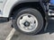 2024 Chevrolet Low Cab Forward 5500 XG 5500