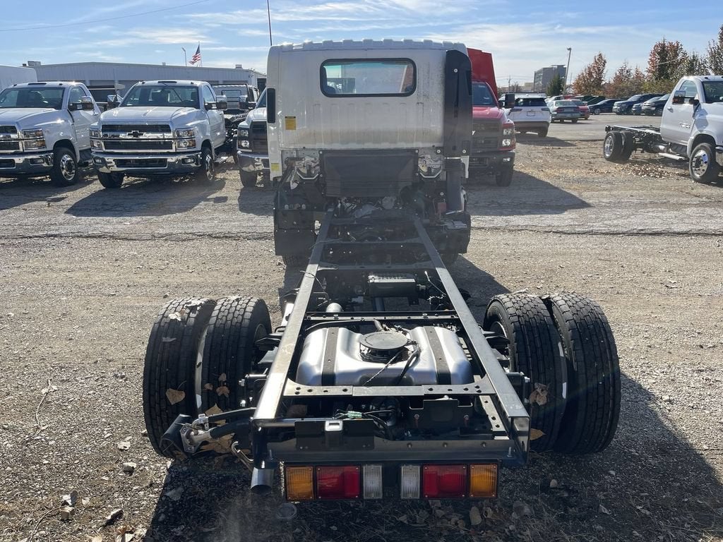 2024 Chevrolet Low Cab Forward 5500 XG 5500