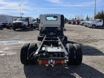 2024 Chevrolet Low Cab Forward 5500 HD 2WD Reg Cab 150
