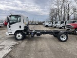 2024 Chevrolet Low Cab Forward 5500 HD 2WD Reg Cab 150