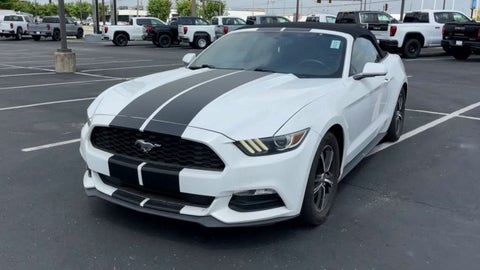 2016 Ford Mustang V6 in Columbus, MI - Mark Wahlberg Automotive Group