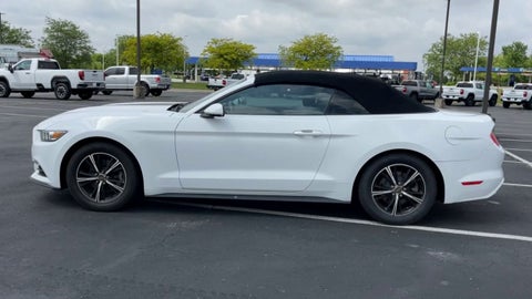 2016 Ford Mustang V6 in Columbus, MI - Mark Wahlberg Automotive Group