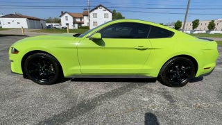 2020 Ford Mustang EcoBoost in Columbus, MI - Mark Wahlberg Automotive Group